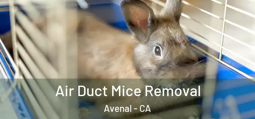 Air Duct Mice Removal Avenal - CA