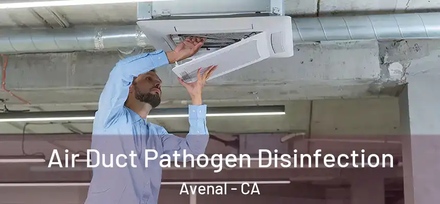  Air Duct Pathogen Disinfection Avenal - CA