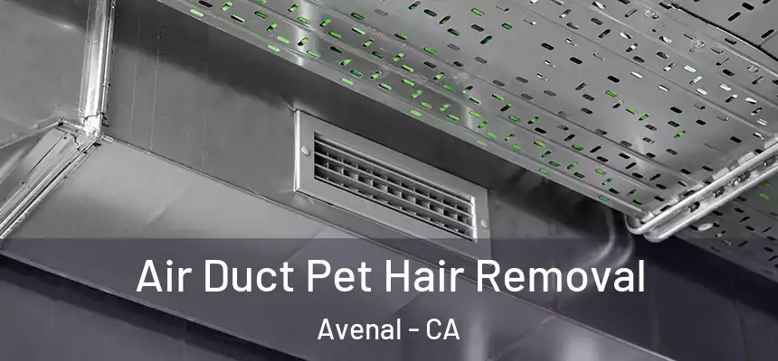 Air Duct Pet Hair Removal Avenal - CA