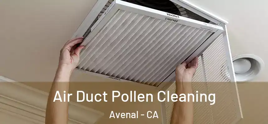 Air Duct Pollen Cleaning Avenal - CA