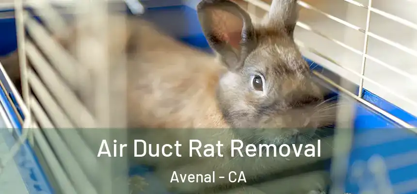 Air Duct Rat Removal Avenal - CA