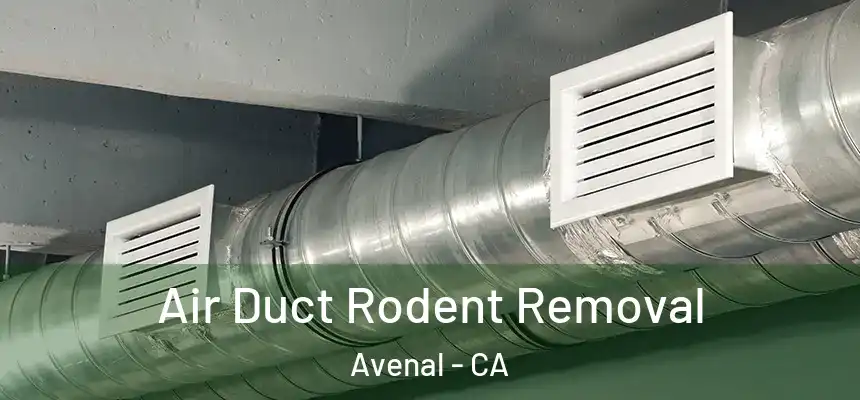  Air Duct Rodent Removal Avenal - CA