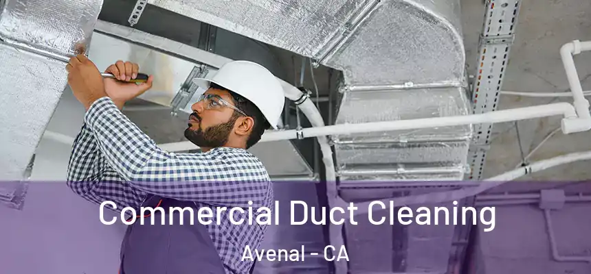 Commercial Duct Cleaning Avenal - CA