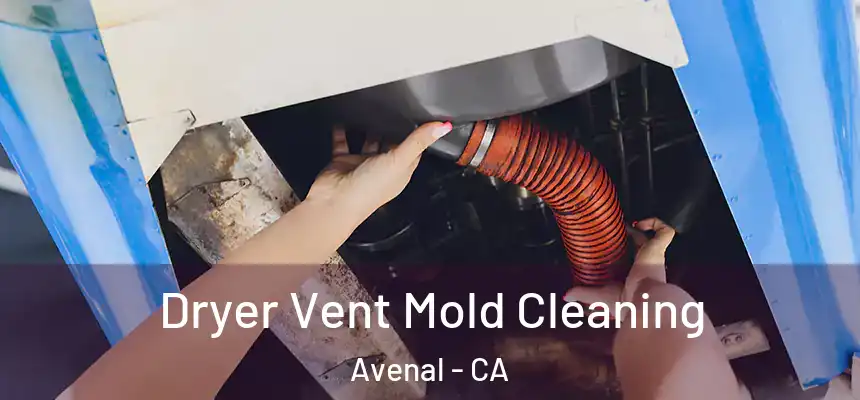 Dryer Vent Mold Cleaning Avenal - CA