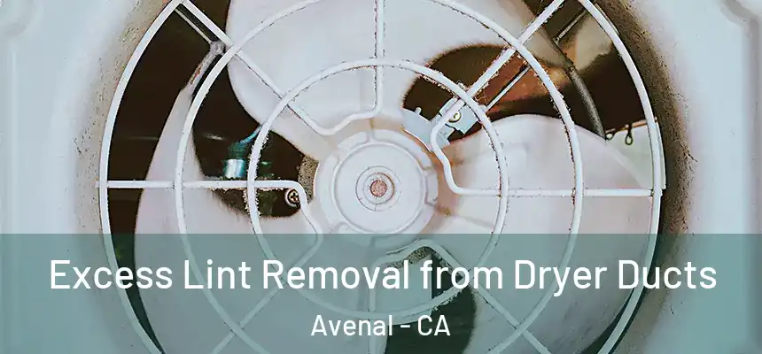  Excess Lint Removal from Dryer Ducts Avenal - CA