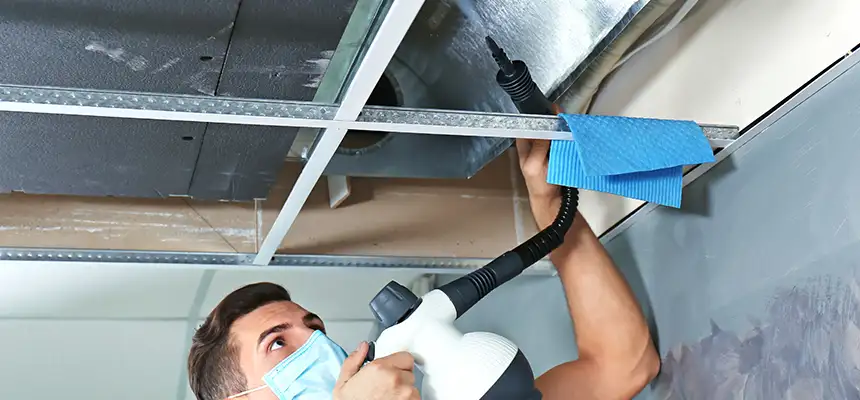 Our Air Duct Rodent Removal Services in Avenal, CA