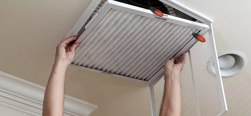 Our Insect Removal from Air Ducts Services in Avenal, CA