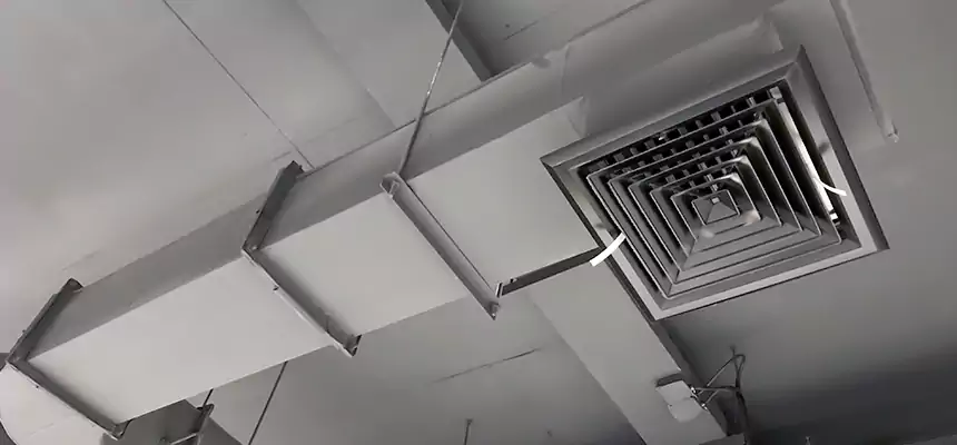 Our Pest Removal From Ducts Services in Avenal, CA