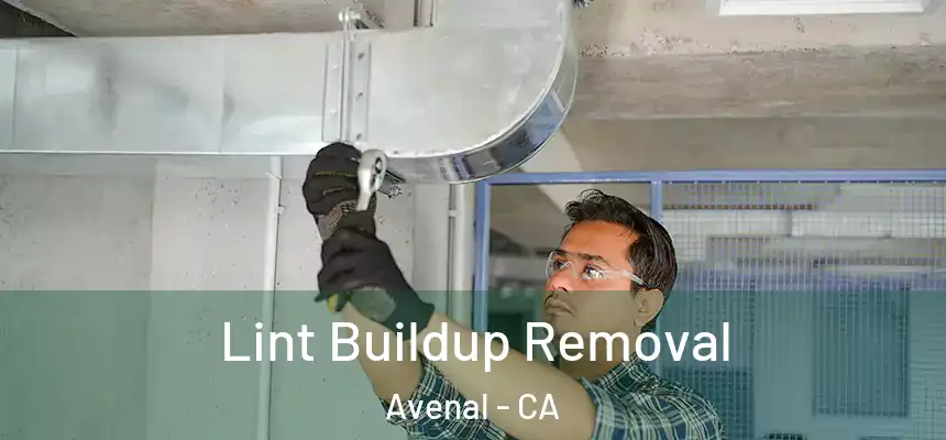  Lint Buildup Removal Avenal - CA