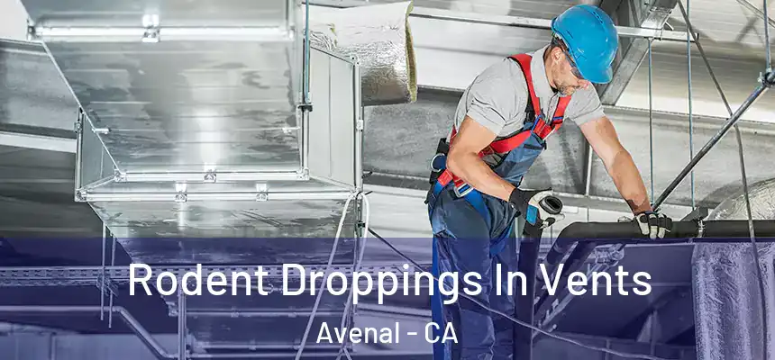  Rodent Droppings In Vents Avenal - CA