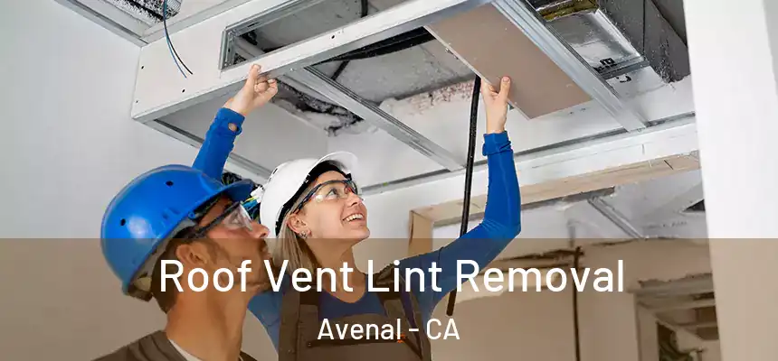 Roof Vent Lint Removal Avenal - CA