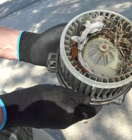 About Air Duct Mice Removal in Avenal, CA