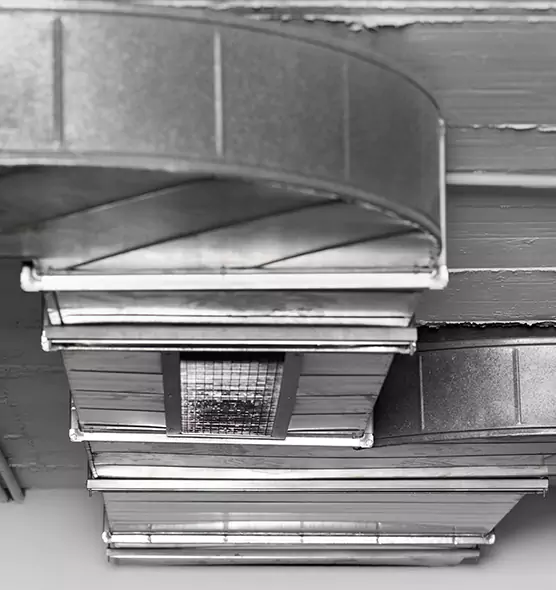 Professional Air Duct Pet Hair Removal in Avenal, CA