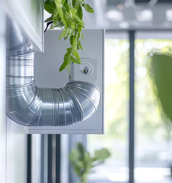 Professional Eco-Friendly Duct Cleaning Services in Avenal, CA