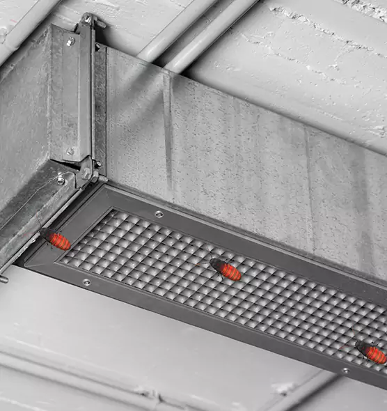 Affordable Insect Removal from Air Ducts in Avenal, CA
