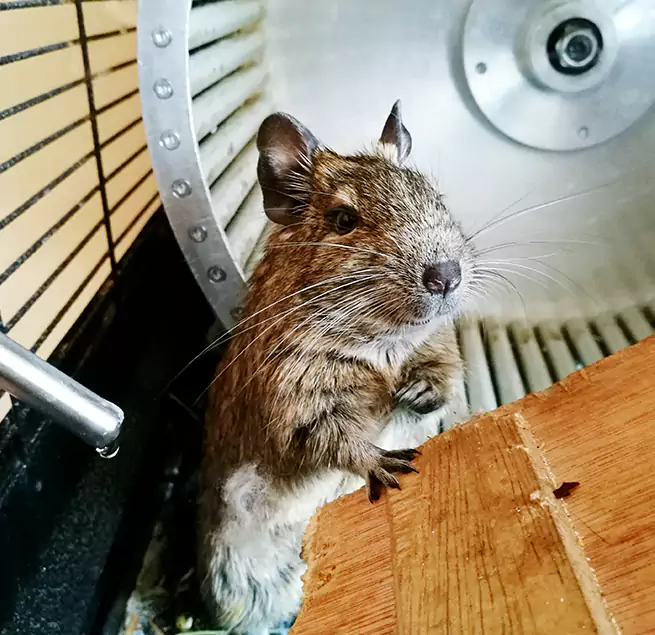 Why Homeowners & Businesses Trust Us Avenal, CA